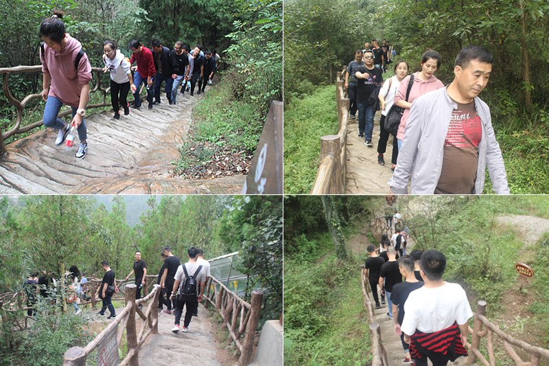 九龍山登山寫照 九龍山登山寫照