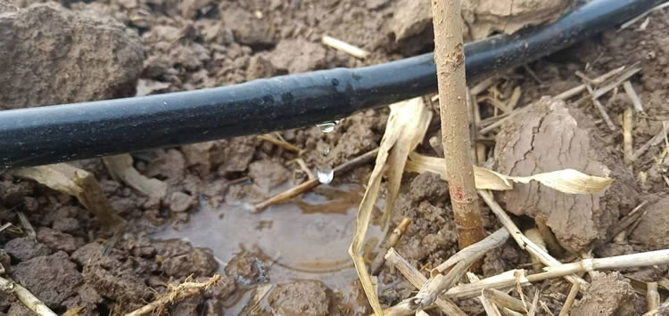 判斷故障點(diǎn)與測(cè)試點(diǎn)的距離 判斷故障點(diǎn)與測(cè)試點(diǎn)的距離